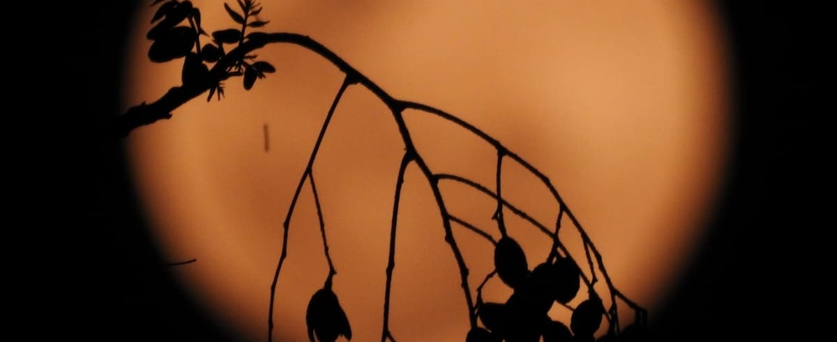 Esta fotografía de la superluna rosa fue tomada en Villeta, Cundinamarca, el 26 de abril de 2021.