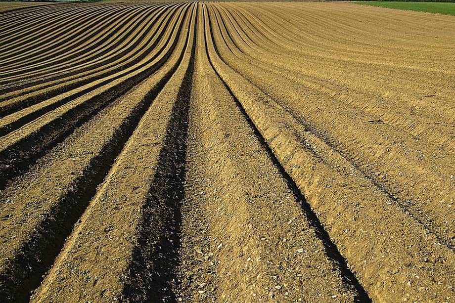 El IPCC cree que será difícil evitar las continuas emisiones en la agricultura y el transporte aéreo. / Pixabay