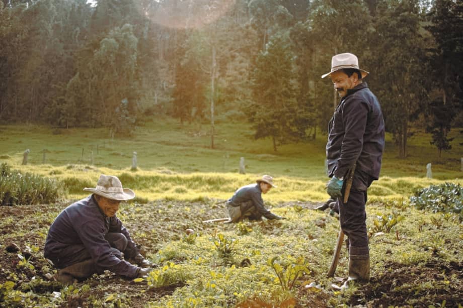 Nuestra comida ajena