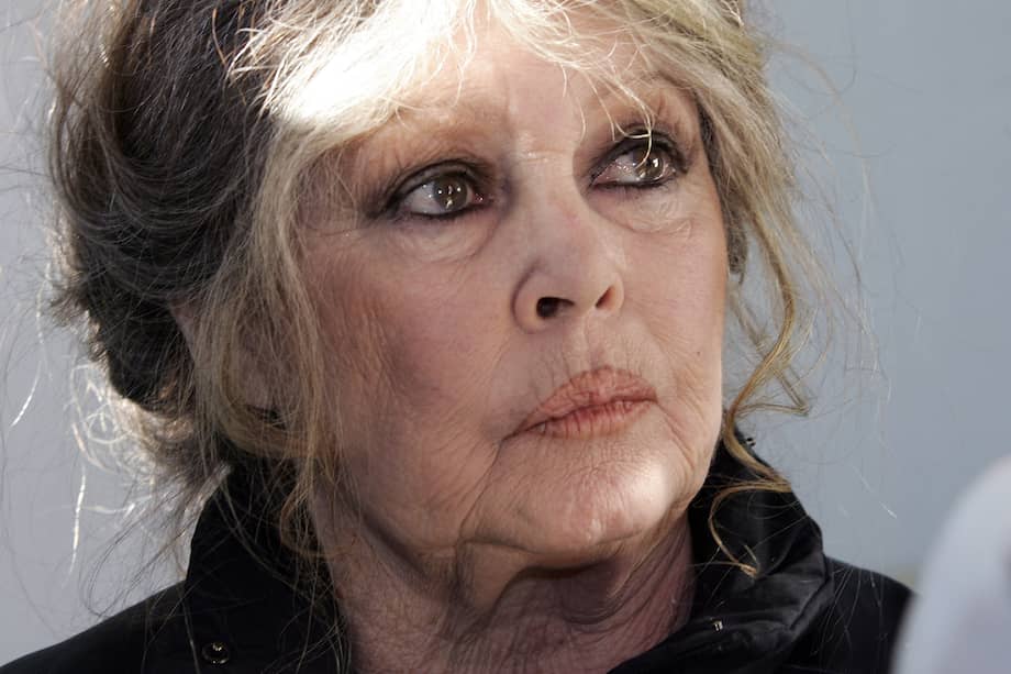 Brigitte Bardot estuvo en Bogotá menos de una hora, pero mantuvo contacto con Colombia. En 1987 donó 3.000 francos a la Sociedad Protectora de Animales de Colombia y después le escribió una carta al presidente Juan Manuel Santos pidiéndole interceder por ellos.