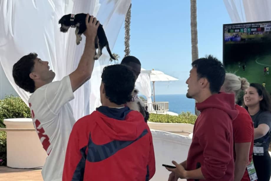 Christian Pulisic, Gio Reyna, Chris Richards y Matt Freese fueron algunos de los jugadores que interactuaron con los cachorros durante la jornada.