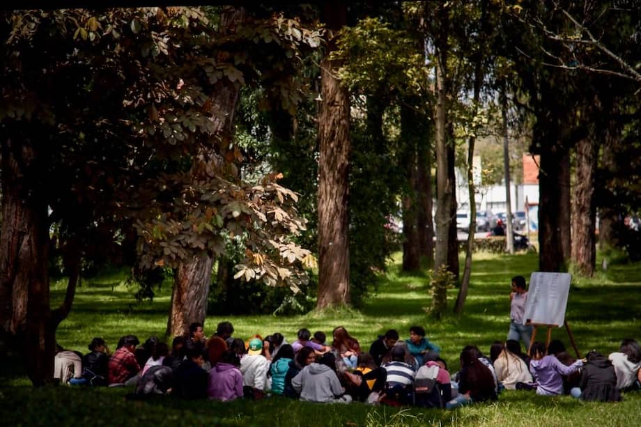 Estudiantes aprovechan el campus de la Universidad Nacional de Colombia en Bogotá para tomar clase al aire libre.