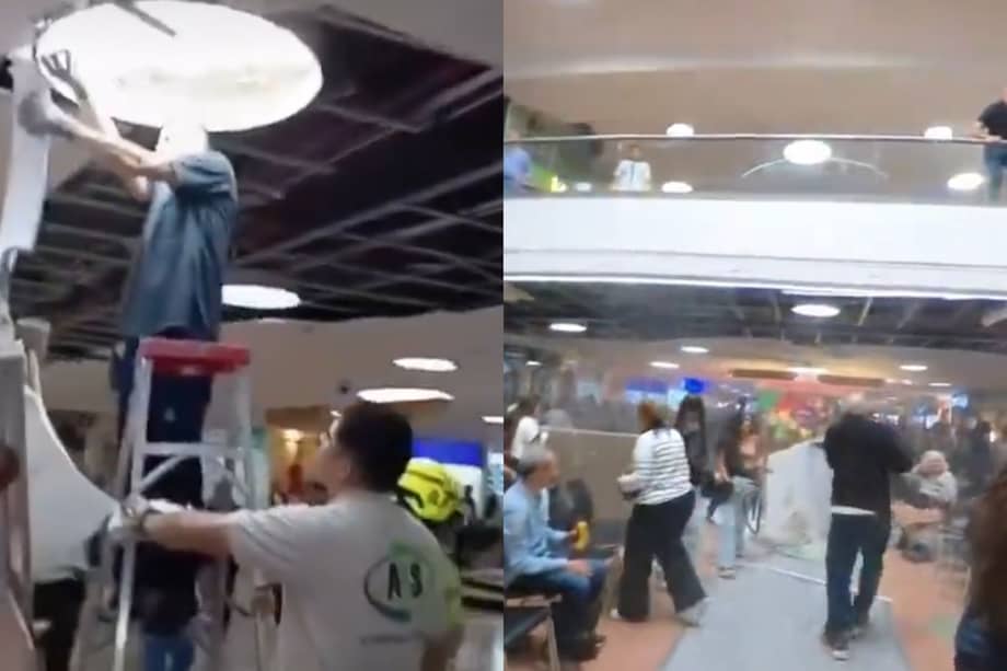 El desprendimiento ocurrió en el sector de la entrada principal sobre la Avenida Bolivariana. Las personas lesionadas recibieron atención médica y no se reportaron heridos de gravedad.