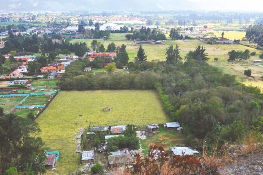 El Consejo Directivo de la CAR es el responsable de tomar decisiones como la intervención en zona protegidas, como la Van der Hammen. / El Espectador