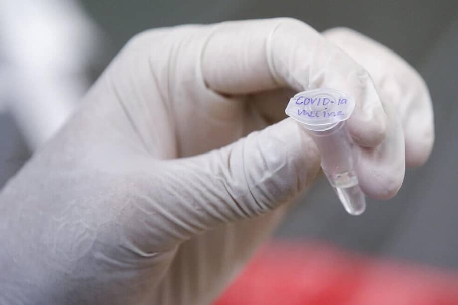 La fase provisional 1, aunque es un estadio temprano, demuestra que la vacunación con mRNA-1273 produce una respuesta inmune de la misma magnitud que la provocada por la infección natural. / EFE