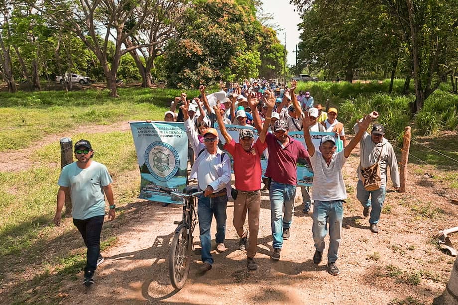 Los predios pertenecieron en el pasado a dos alfiles del paramilitarismo que se asentó en Córdoba y posteriormente replicaron el modelo de despojo en el resto del país.