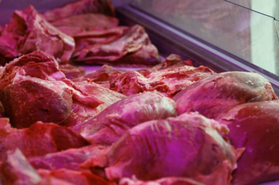 Archivo EFE / Archivo EFE