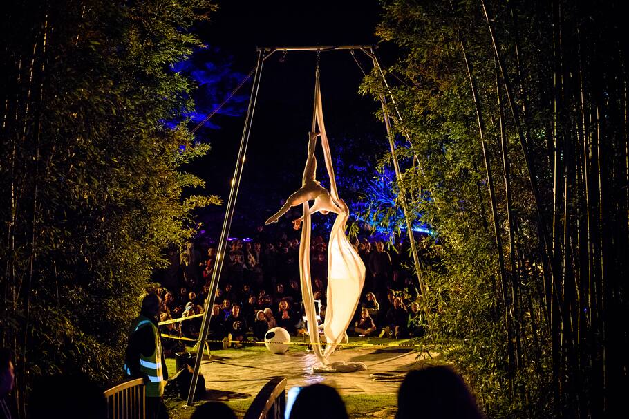 Obra de circo aéreo “Dream Garden”, que explora el mundo de los sueños a través del movimiento.