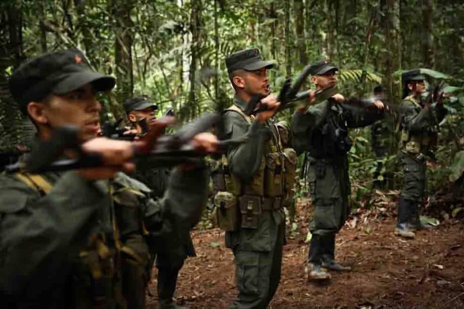Las Farc hoy, selva adentro