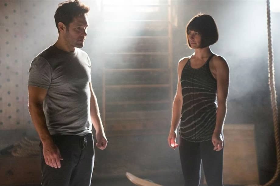 Un nuevo estudio sugiere que, cuando están del tamaño de un insecto, Ant-Man y la Avispa se enfrentarían a serios desafíos, incluida la privación de oxígeno. / Marvel