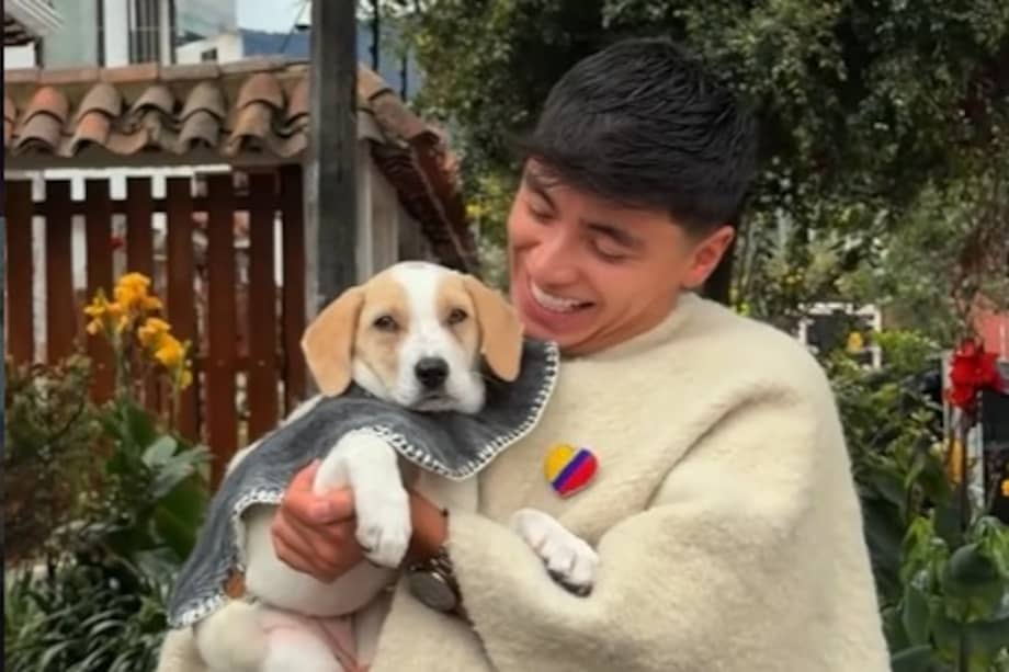 La perrita recibió baño, alimentación y vacunación antes de encontrar una nueva familia.