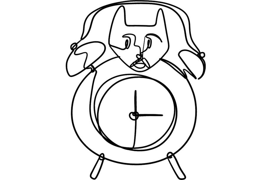 "El objeto cayó al suelo y sus ojos, su nariz y sus orejas se rompieron. Luis tuvo la sensación de escuchar los lamentos de un perro golpeado, por eso se agachó para inspeccionar a Marcus".