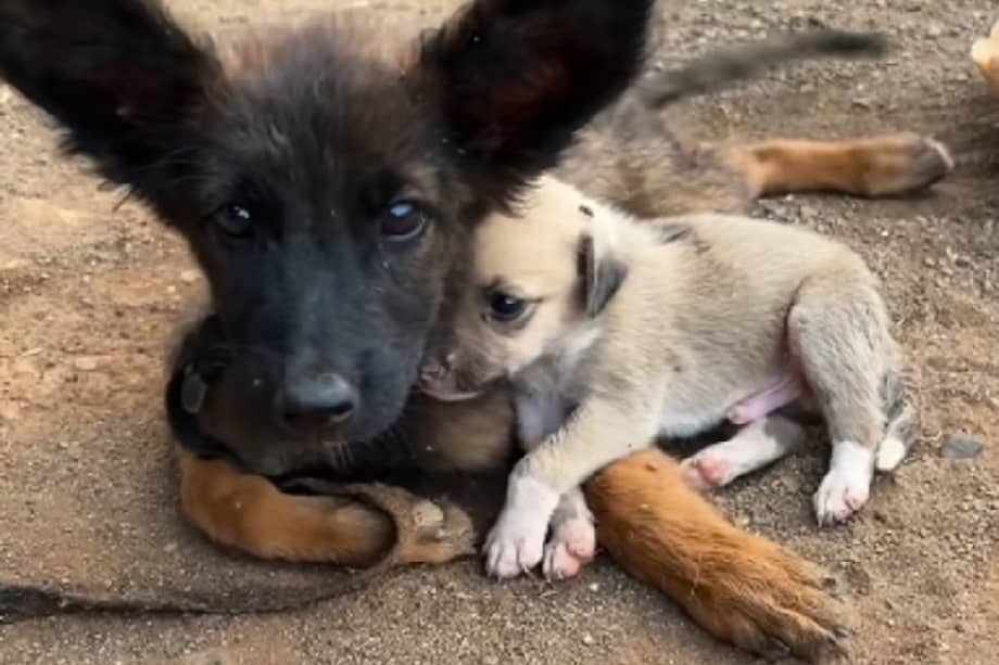 El próximo desafío es aprender a correr, un nuevo objetivo que simboliza no solo su recuperación física, sino también una segunda oportunidad de vida.