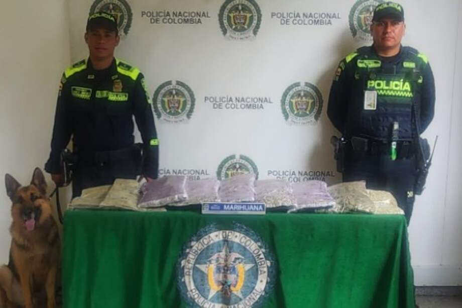 Más de 12 kilos de marihuana fueron hallados en el interior de la réplica de una escultura de Botero en el Aeropuerto El Dorado.