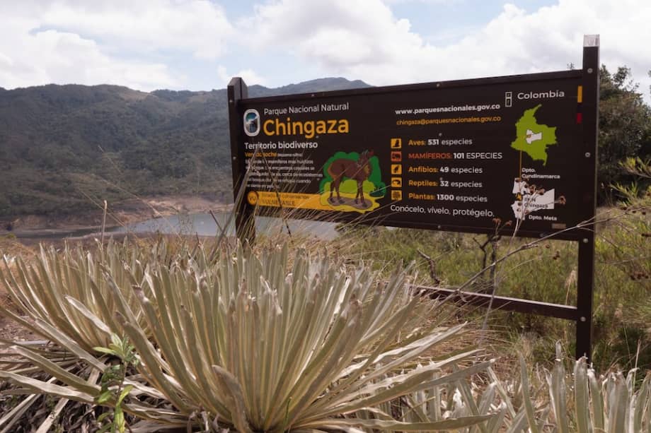 La iniciativa llega como una experiencia de ecoturismo diseñada para acercar a deportistas, familias, caminantes y amantes de las actividades al aire libre a uno de los ecosistemas más importantes del país.