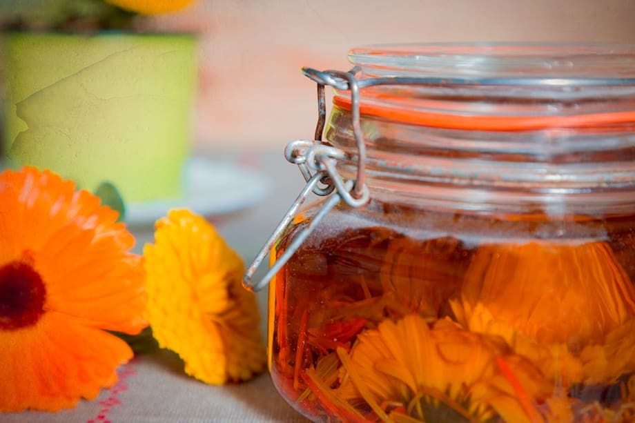 La caléndula, una flor de color amarillo brillante, es conocida por sus propiedades curativas y se ha utilizado en la medicina tradicional durante siglos.