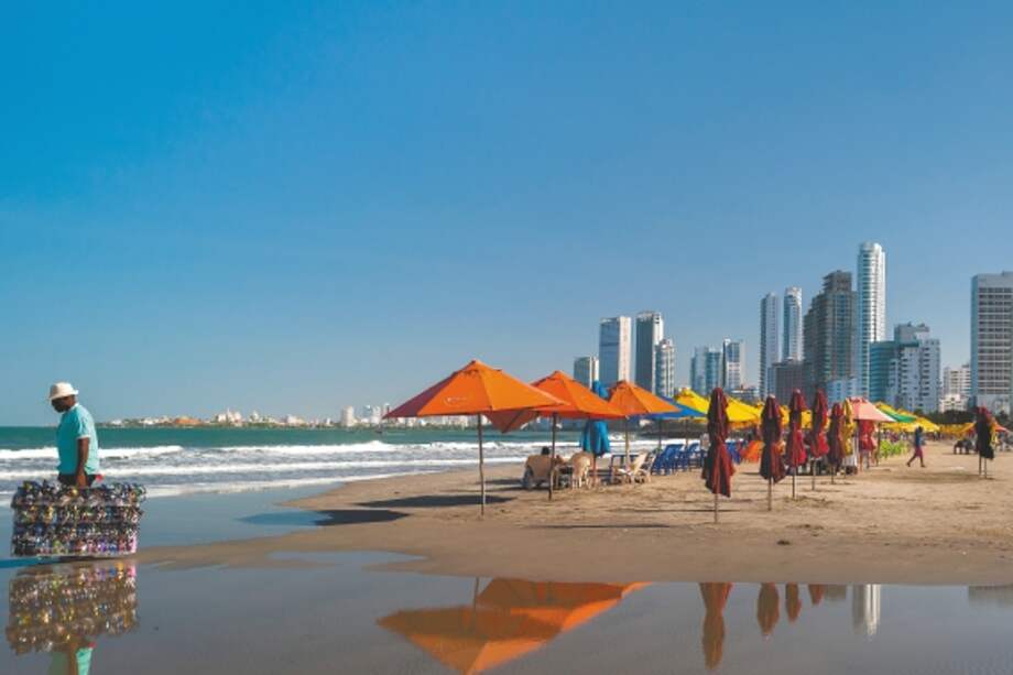 Imagen de referencia.