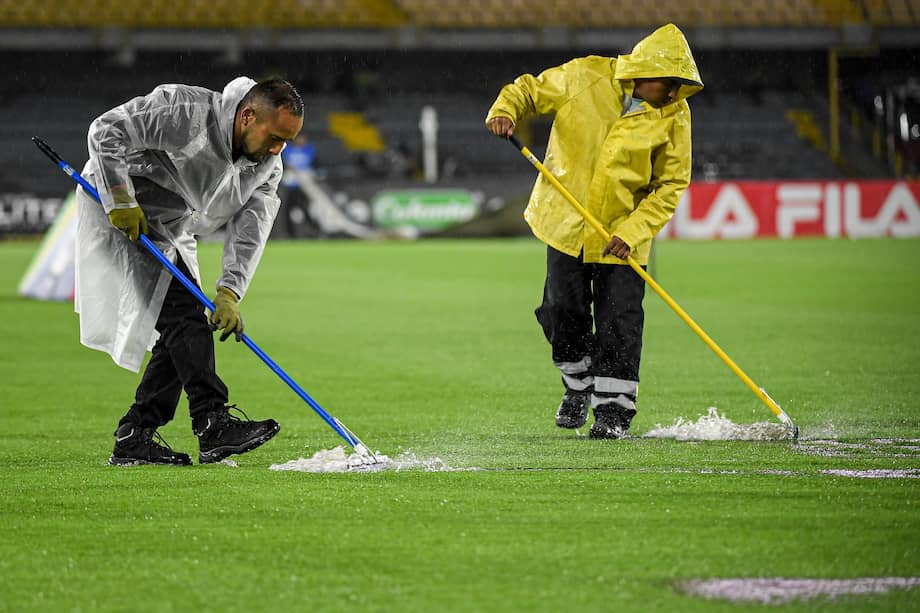 El problema con la gramilla no es un asunto nuevo.