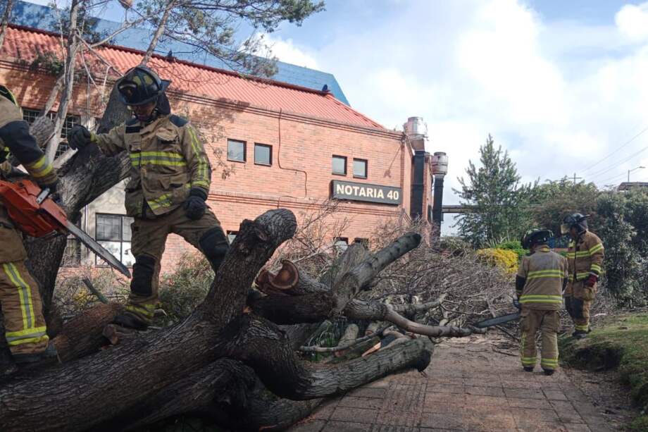 Los lesionados fueron atendidos