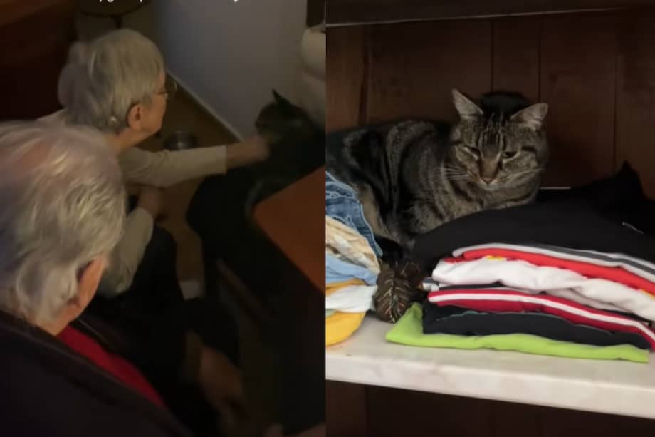 Bibi, la primera mascota, falleció en los brazos de la mujer en agosto del 2024.