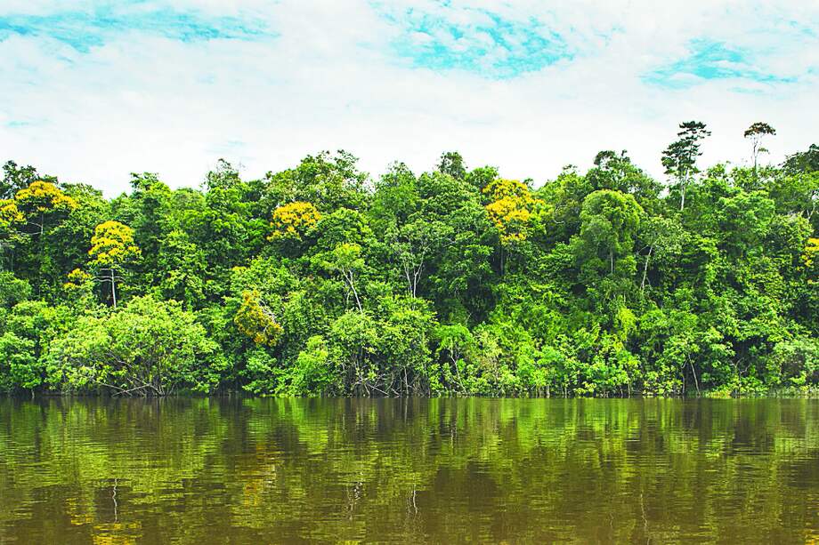 En el Amazonas habitan 26 millones de personas, incluyendo más de 350 pueblos indígenas.
/ Sebastian Ramírez