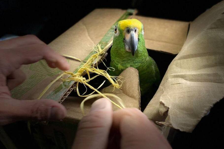 ‘Hay viajes que marcan vidas’