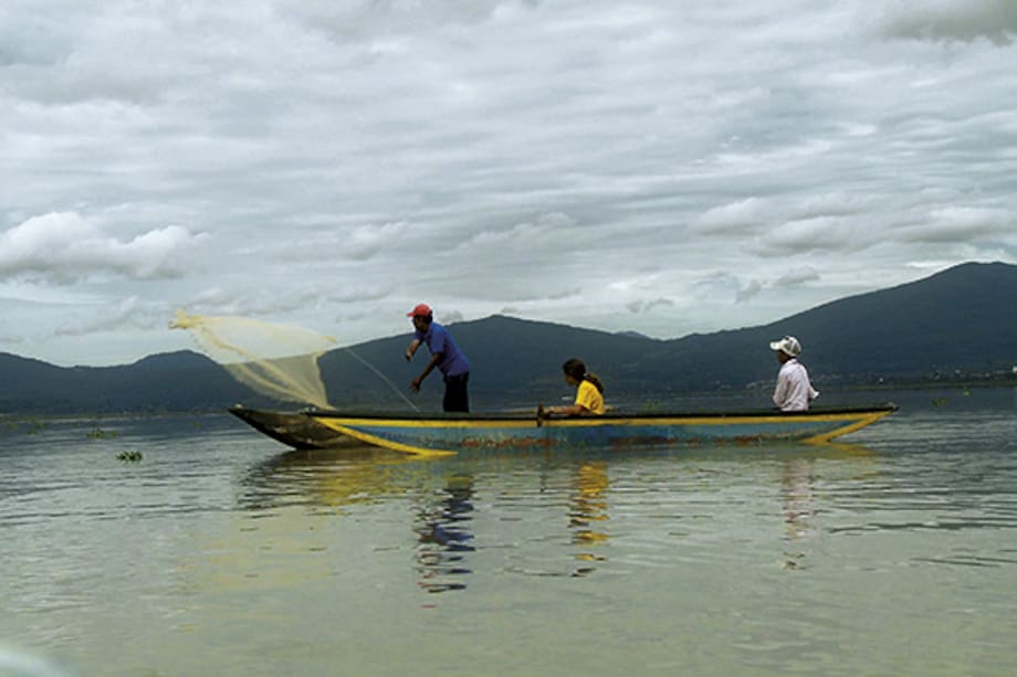 Viaje a un mundo desconocido a través del programa: La lleva