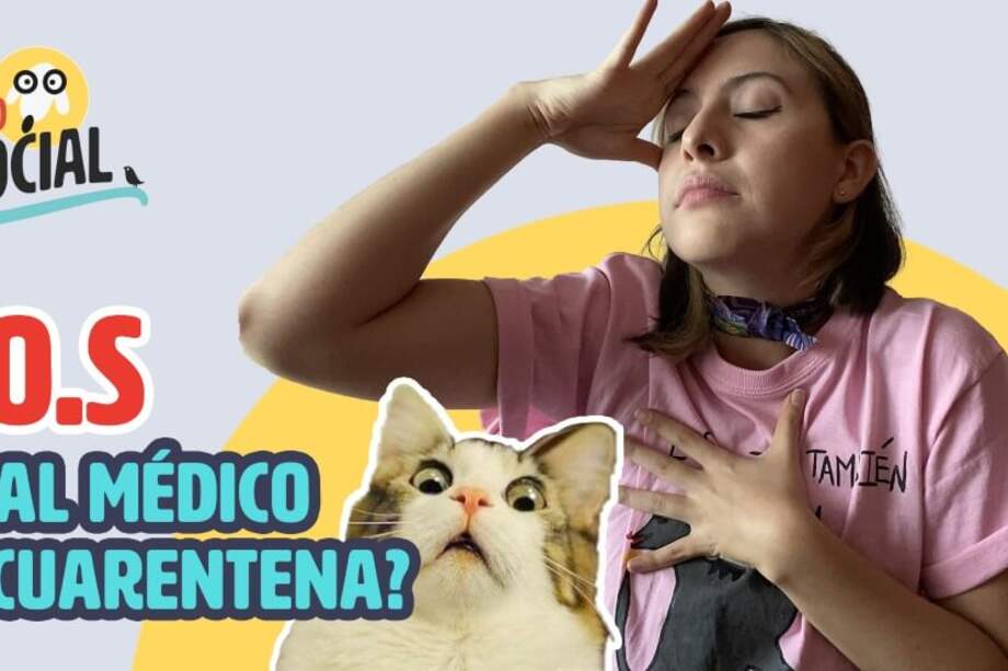 ¿Qué hago si mi mascota se enferma en la cuarentena?
