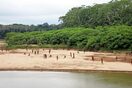 Pueblo indígena en aislamiento fue visto cerca de una zona donde se están talando árboles
