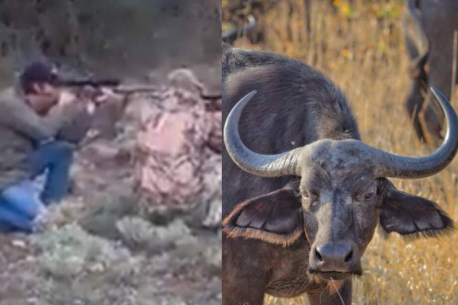 Mario Alberto Canales desde el 2018 había sido director de la Federación Mexicana de Caza.