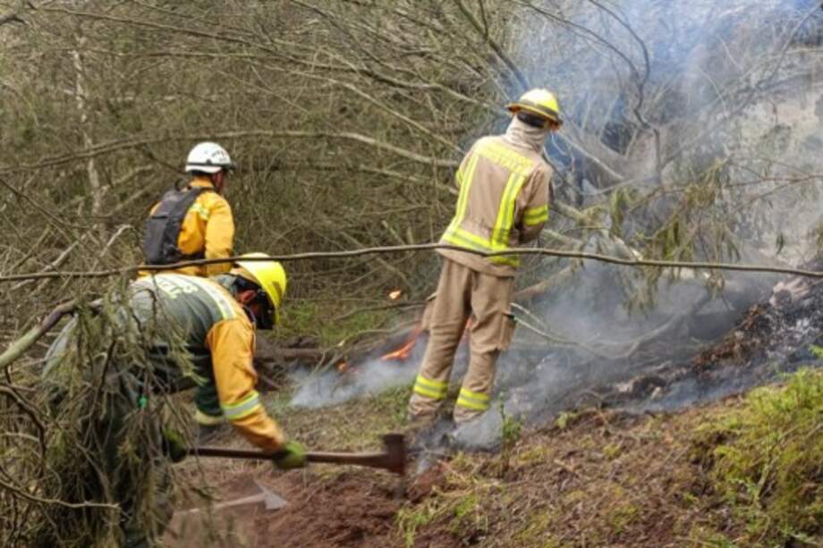Un incendio forestal que lleva más de 48 horas continúa siendo atendido por bomberos locales y de municipios aledaños. Las afectaciones se estiman en cerca de 1.200 hectáreas. La mañana del domingo 22 de septiembre la emergencia estaba controlada en un 98%.