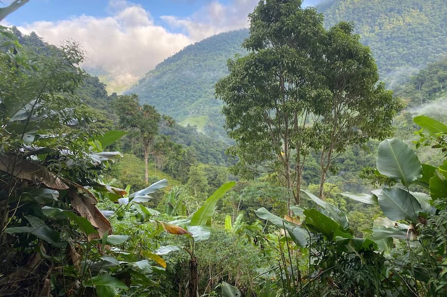 La Sierra Nevada de Santa Marta es una de las principales fuentes de agua del Caribe colombiano.