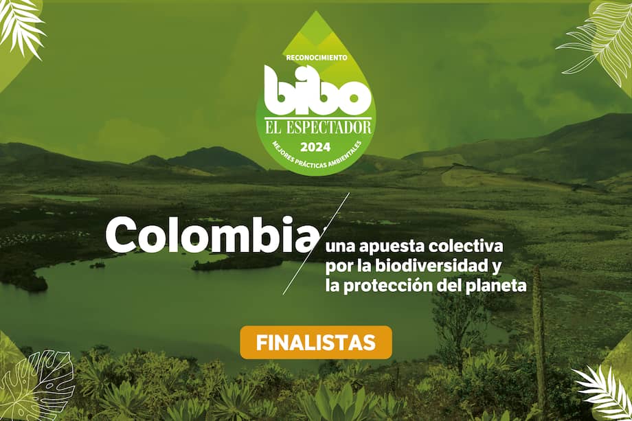 Finalistas Premio BIBO 2024.