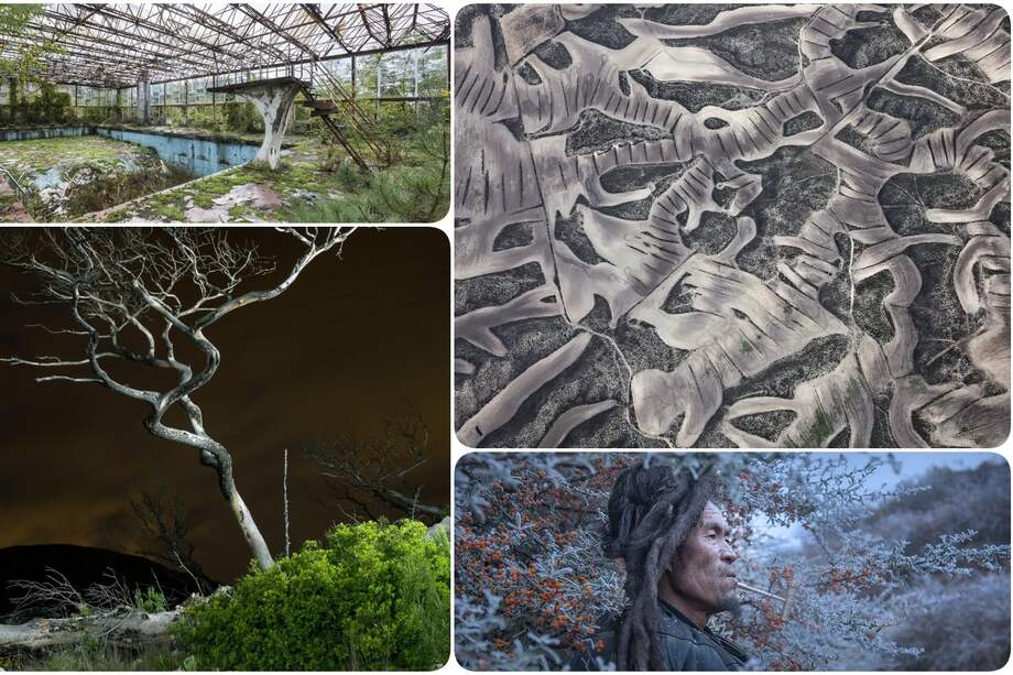 Las fotos son de los ganadores de varias categorías.