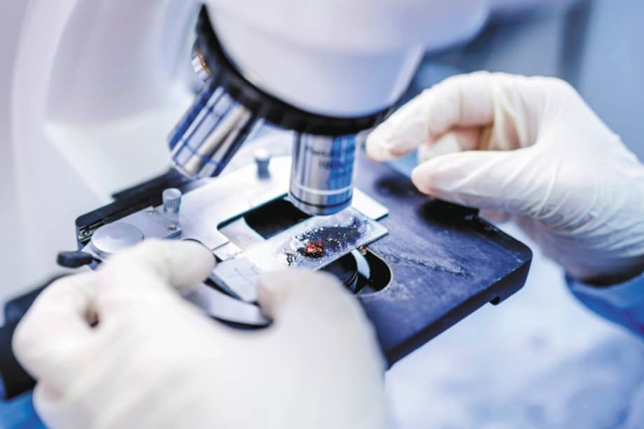 Belén Suárez Malagón, la funcionaria de Medicina Legal que cambió una prueba de ADN, se encuentra prófuga. / Istock