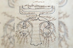 La medicina árabe y su respuesta al misterio de la visión (El teatro de la historia)