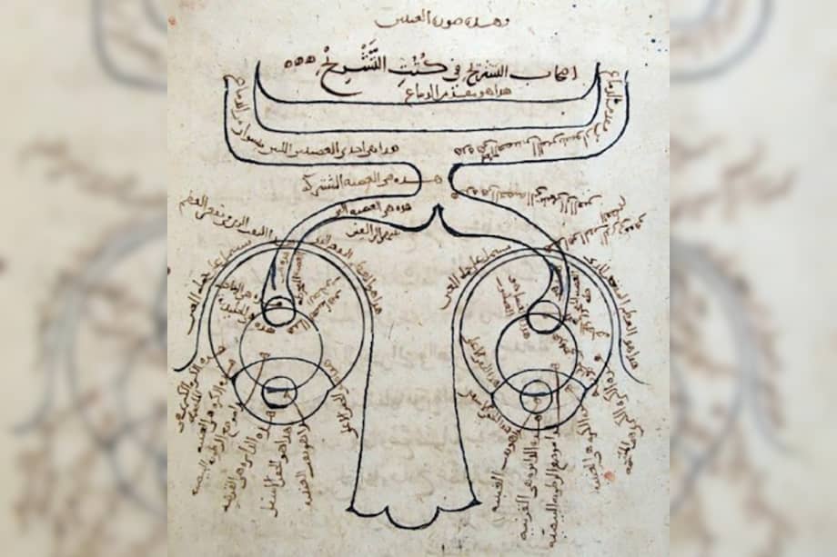Estructura del ojo humano en Kitab al-Manazir (Libro de óptica) de Ibn al-Haytham, Alhacén, 1003.