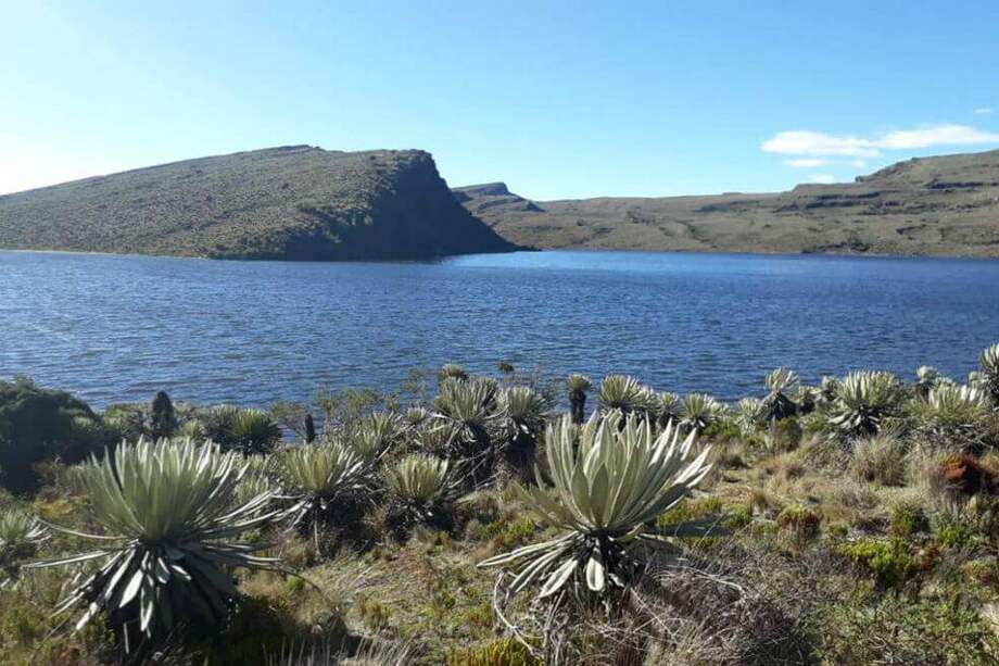 El Parque Nacional Natural Sumapaz surte de agua a la ciudad de Bogotá. / PNN