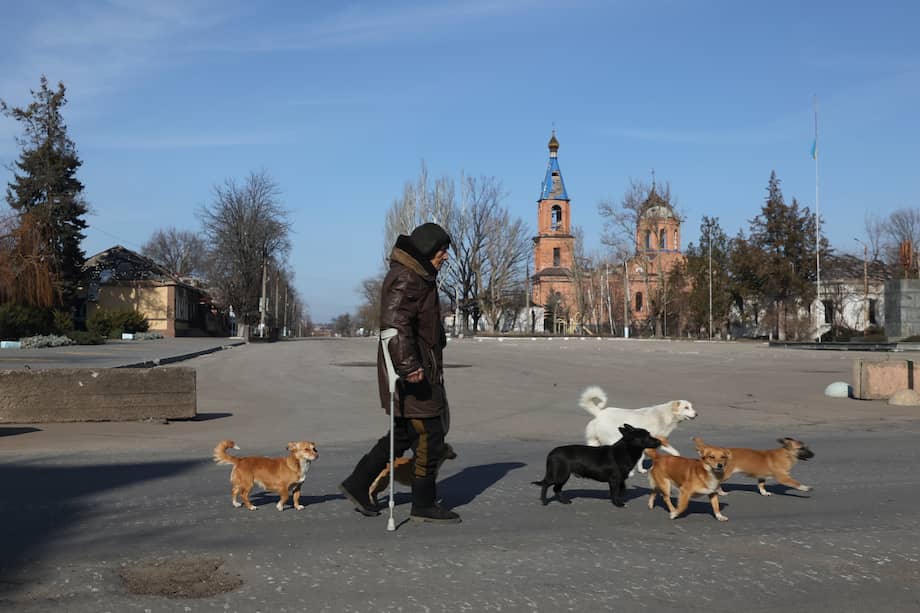Un hombre pasea con perros callejeros en Orikhiv, región de Zaporizhzhia, al este de Ucrania, el 12 de febrero de 2025.