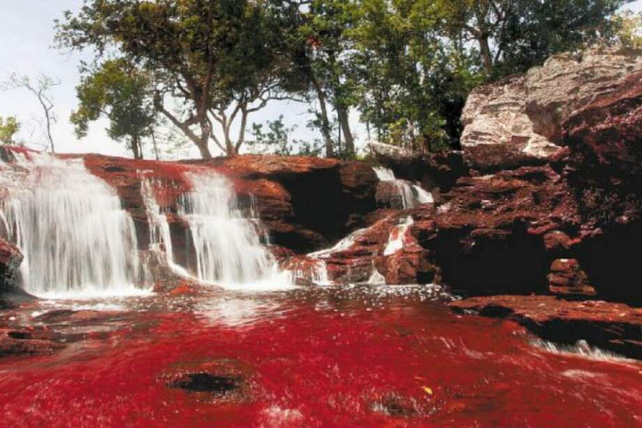 Cuando se conoció la licencia de explotación que la ANLA había aprobado sobre la Serranía de La Macarena, los mayores afectados eran Caño Cristales y los ríos Guayabero, Duda y Lozada. / Reuters.