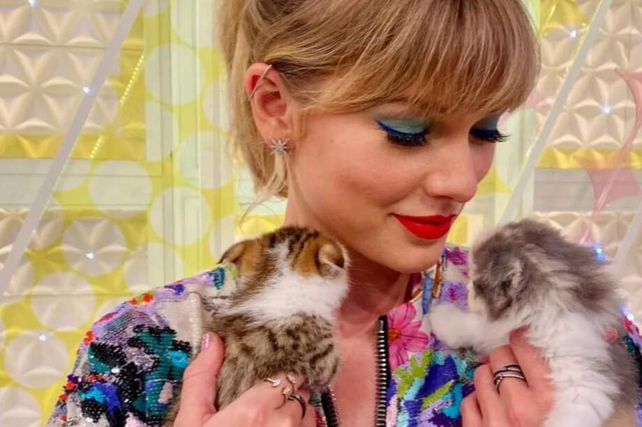 Taylor Swift le puso el nombre a sus gatos inspirada en sus series favoritas.