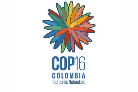 Creamos una nueva sección para que no se pierdan nada de la COP16