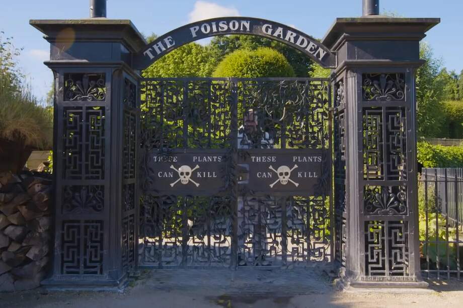 El Jardín de Alnwick alberga el pequeño pero letal Jardín de los Venenos, repleto exclusivamente de unas 100 plantas tóxicas