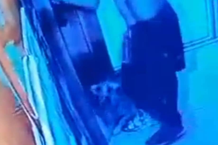 De acuerdo con la Policía del Valle de Aburrá, a pesar de la golpiza el perro no resultó herido de gravedad.