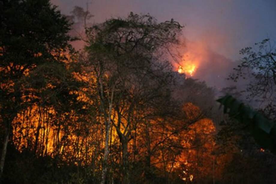Ministerio de Ambiente y Desarrollo Sostenible