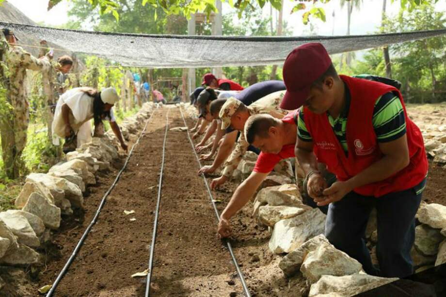 Indígenas, voluntarios y uniformados sembrando juntos en Vamos Magdalena. / Cortesía Vamos Colombia