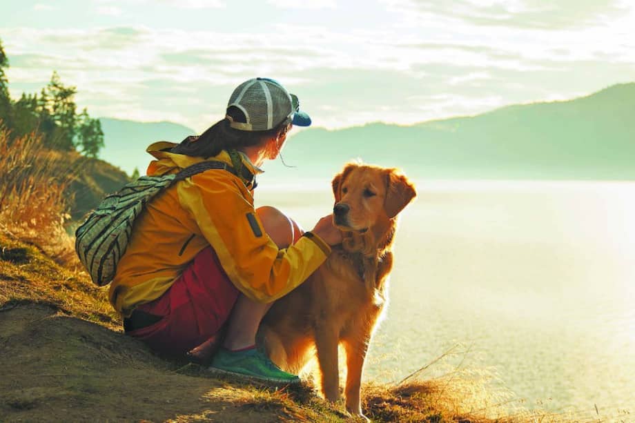Diversos estudios científicos han revelado los efectos positivos de la interacción con los animales en la salud de los seres humanos. / iStock
