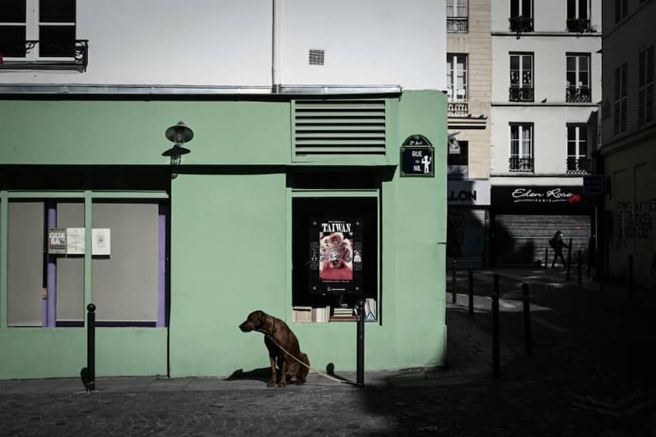 Un perro amarrado en una calle de París el 31 de marzo de 2020. El miedo a la trasmisión de coronavirus por mascotas se expandió por todo el mundo. / AFP