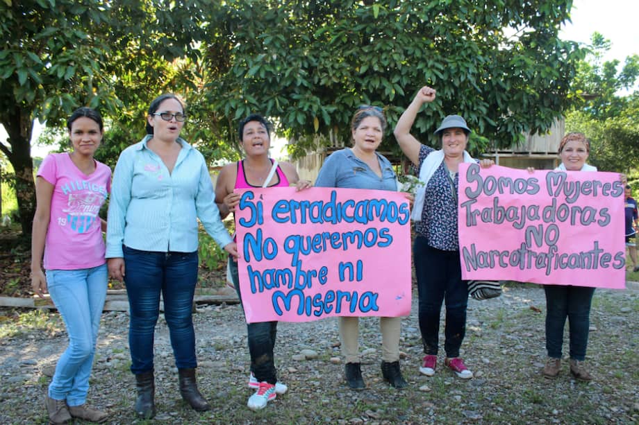 Cultivos de coca en Tumaco. / El Espectador