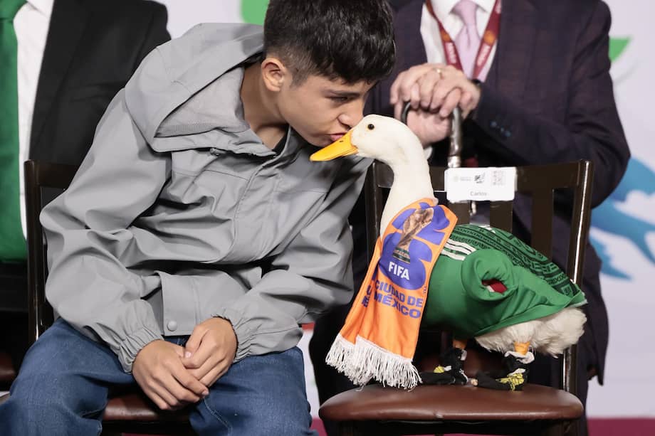 La propuesta surgió tras el caso de Merlín, un pato doméstico mexicano que se convirtió en un fenómeno viral internacional durante la Copa del Mundo 2026. El animal saltó a la fama tras ser captado celebrando con la camiseta de la Selección Mexicana. EFE/José Méndez